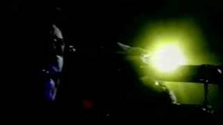 Tahiti 80 Yellow Butterfly