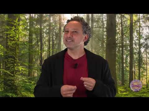 Initial Enneagram - Who is Type (Ray) 6? - Nicolai Cursino