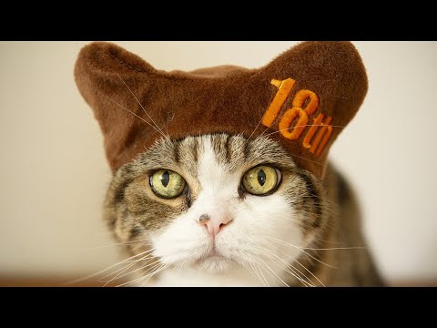 まるです１８。-I am Maru 18.-