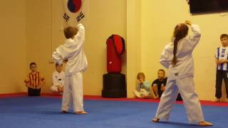 Tkd lesson 2