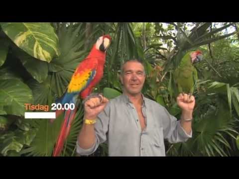 Kjelles smakresa i Latinamerika tisdag 20.00 på TV3