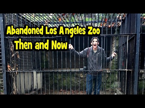 Abandoned Zoo - Comparing Photos Video