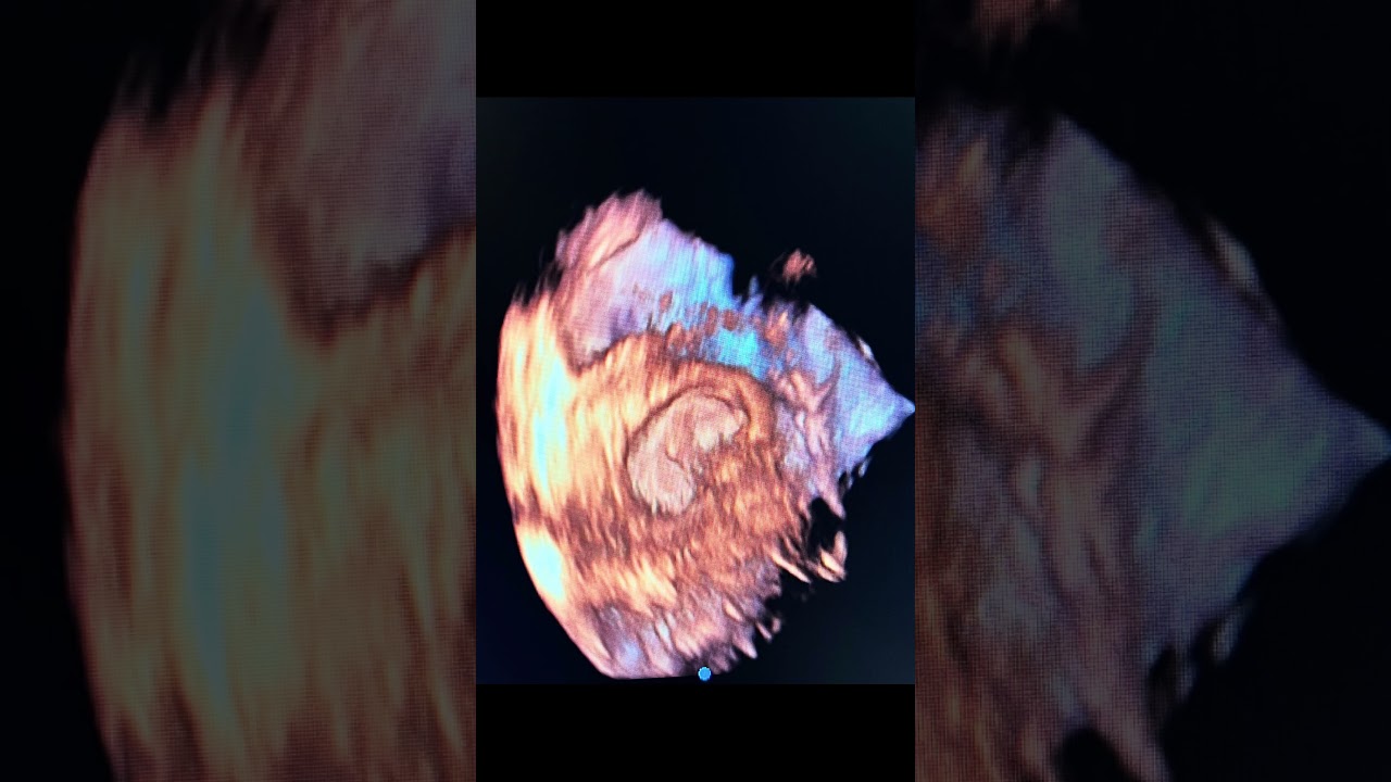 Atieel Flores Morales-12