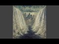 Forgotten Tomb - Active Shooter Video
