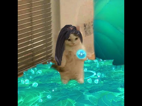 "YOU WILL NOT KILL MY ALLIES"