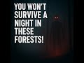 You Won T Survive A Night In These Forrest