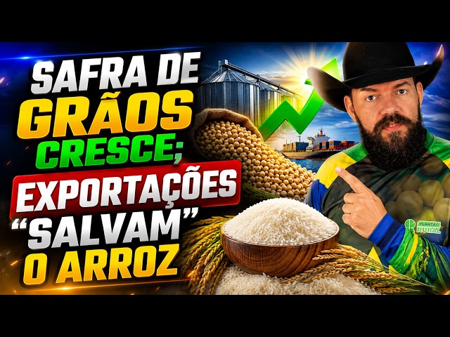 Safra de grãos cresce; exportações “salvam” o arroz.