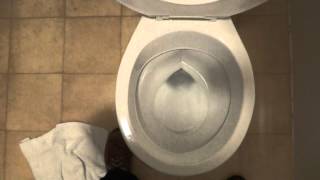preview picture of video 'Bathroom Tour: Crane Toilet Spanish Manor Inn Motel Olive Hill KY'