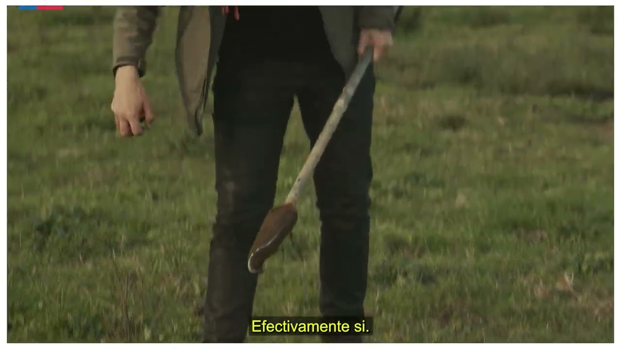 Módulo 4 Video 6 - Tercera toma de suelo hídrico