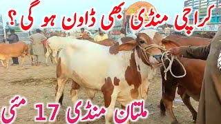 Download lagu Today Multan Cow Mandi Video Fresh Latest Update Qurbani 2026 || Global Village Farming  mp3