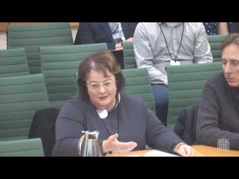 HCLG Select Committee - Affordable Rent