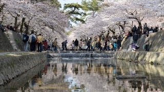 夙川公園