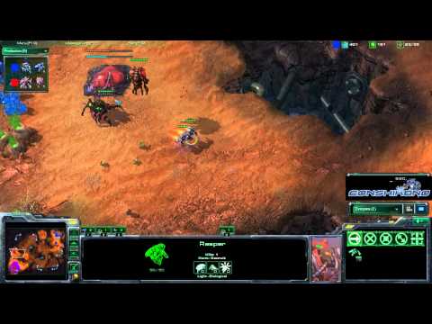 Idra vs Tarson ZvT #14 Starcraft 2