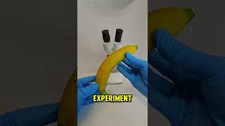 WARNING! DO NOT EAT SPOILED FRUIT! 😣🍌 #usa #shortsusa #youtubeusa