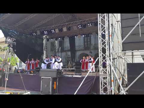 Ansamblul "Junii Gugulani" Timisoara , 11 mai 2018, Coregraf Adrian Jurchescu