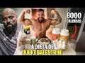 A DIETA DE 6.000 CALORIAS DE JULIO BALESTRIN!!