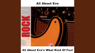 What Kind Of Fool - Live