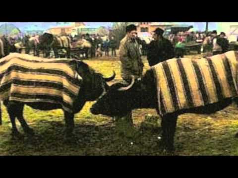 Hei, măi mândriorule & Danț de jucat / Songs from Maramures & Oas areas