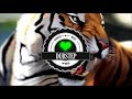 Ncs Music Remix