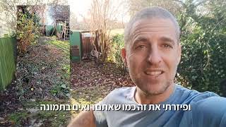 פעולות שאפשר לעשות בחורף בגינה