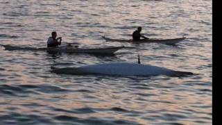 preview picture of video 'Friday night kayaking 1'