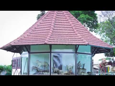 Conhecimento e história nos museus da praça de Quinze de Novembro