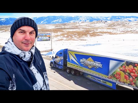 Napustio sam kamion na godinu dana – istina koju nisam pričao 🚛🇺🇸