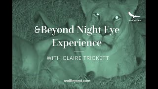 Download lagu Discover a Night Eye Experience | Phinda Private Game Reserve | andBeyond Night Eye mp3