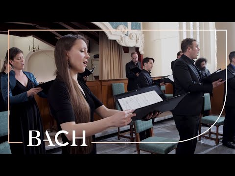 Netherlands Bach Society