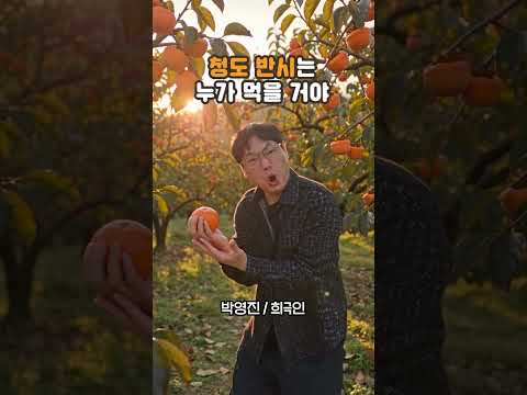 소는 누가 키우고 감은 누가 먹을 거야ㅣ청도군청