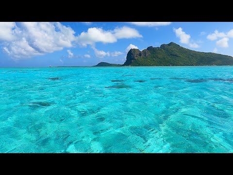 Boat Day: Relaxing on The Blue Waters of Maupiti