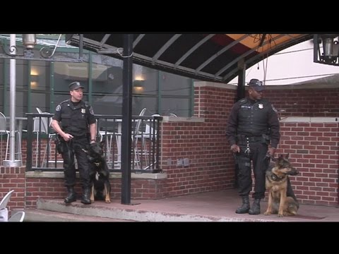 Springfield Police Dog Unit benefits from restaurant donation Springfield Police Dog Unit benefits from restaurant donation