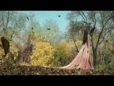 Dalida & Massimo Ranieri - Aranjuez