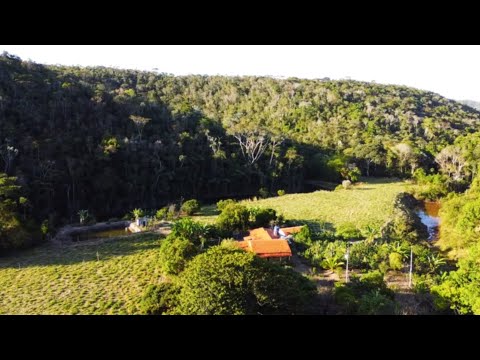 VENDE FAZENDA SÃO FRANCISCO 75HA POTE-MG VÍDEO SOLO 