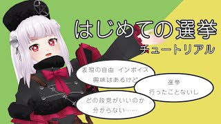 【政治】初めての選挙　チュートリアル【概要欄必読】