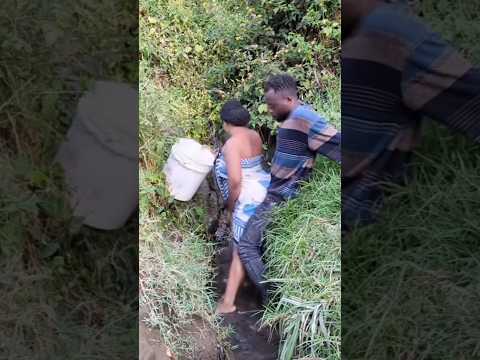 #funny #comedy #trending #viral #fyp #shorts