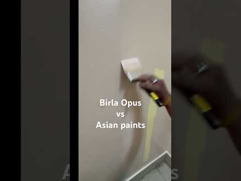 50ml Birla Opus Style Stainer