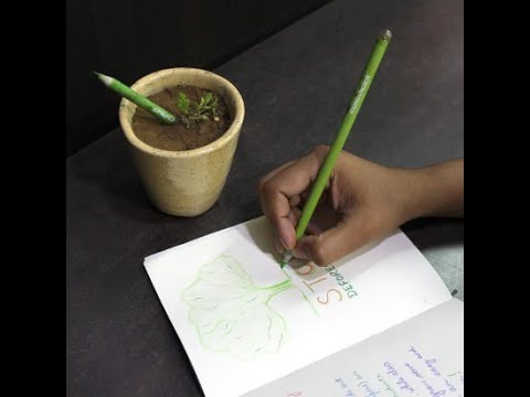 Velvet Pencil