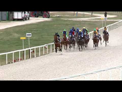 2021.04.11. 03. futam - NYERETLENEK VERSENYE (V.kat.)(szintetikus pálya)