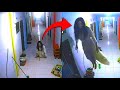 10 Of The Most Viral Real Life Footage Of Apparitions Caught On Camera