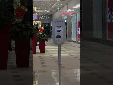 Lynden Park Mall at Christmas