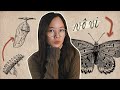 Nghệ Thuật Của Việc Không Cố Mà Cái Gì Cũng Thành