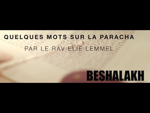 S'investir dans la beauté ?! Rav Élie Lemmel - Parasha Beshalakh