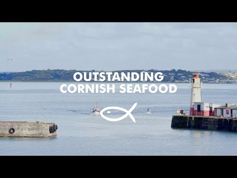 download lagu mp3 mp4 Seafood Delivered To Your Door, download lagu Seafood Delivered To Your Door gratis, unduh video klip Seafood Delivered To Your Door