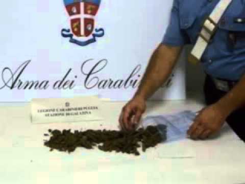 ONDA TG 8.06.2013 - DROGA: ARRESTATO MINORENNE DI PRATOLA