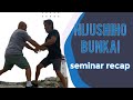 Nijushiho Bunkai 1 6