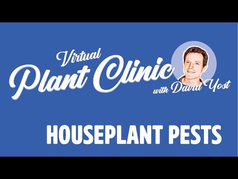 , title : 'Virtual Plant Clinic: Houseplant Pests'