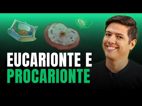 EUKARYOTIC AND PROKARYOTIC CELLS - DIFFERENCES | Biology with Kennedy Ramos