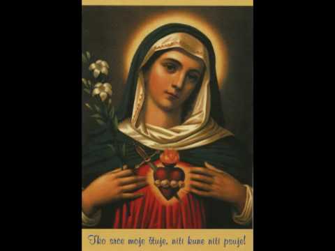 ZDRAVO ZVIJEZDO MORA.mpg