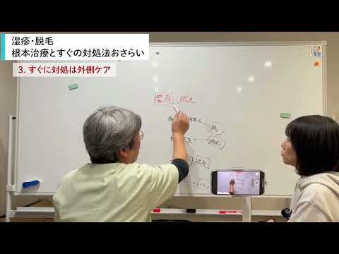 羽が抜け落ちた鶏の治療方法は？考えられる 4 つの原因と問題を解決する簡単な解決策  庭園